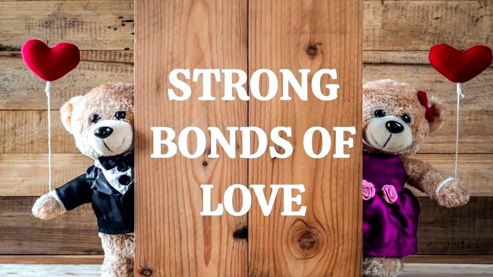 Strong bonds: stories of loyalty